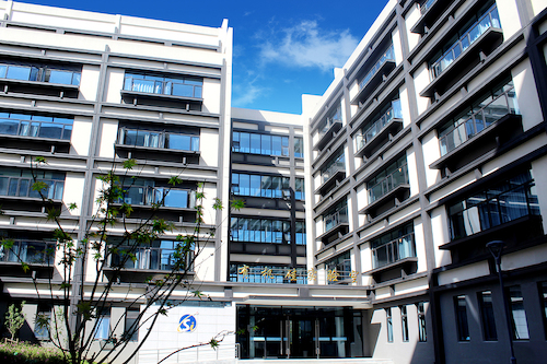 有机硅实验室大楼横11 有机硅实验室大楼横11